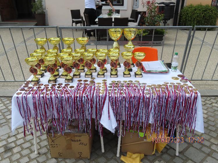 01681241118IMG_2337 - Copy.JPG-nm-tek.si